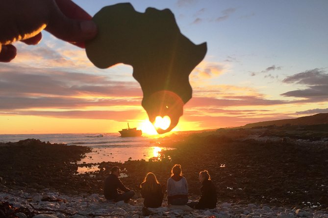 5-Day Garden Route & Addo Adventure from Cape Town to Port Elizabeth - Day 1: Penguins, lighthouse country, and Cape Agulhas