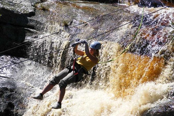 5 Day Garden Route and Addo Safari - Best of South Africa Small Group Tour - Why this five-day route works