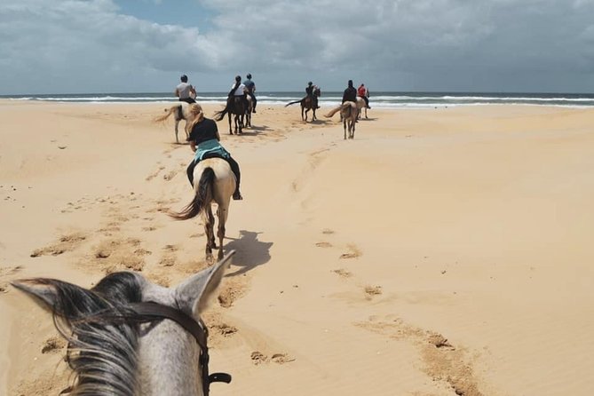 5 Day Garden Route and Addo Safari - Best of South Africa Small Group Tour - What the $575 price really covers