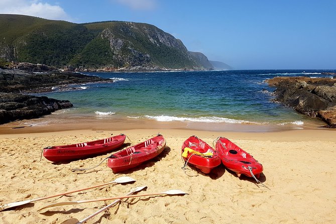 5 Day Garden Route Tour - Port Elizabeth to Cape Town - Day one: Dolphin Beach and the start of the coast