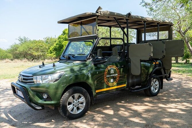5 Day Kruger Glamping Safari and Panorama Tour - Day 4: A second full search through Kruger