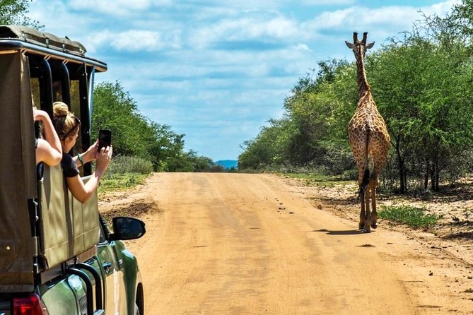 5 Day Kruger National Park and Panorama Route Safari - The early road to Kruger from Johannesburg