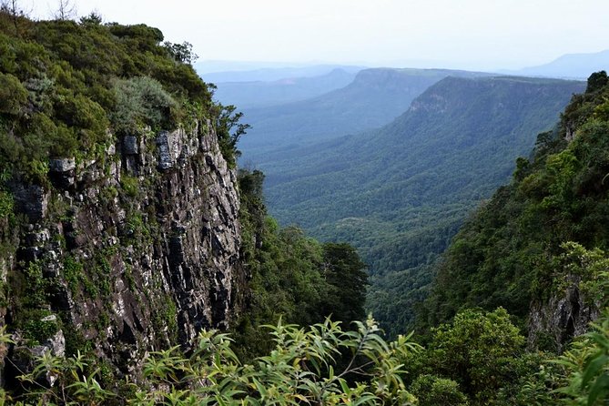 5 Day Kruger National Park and Panorama Route Safari - Day 4: Another full Kruger safari