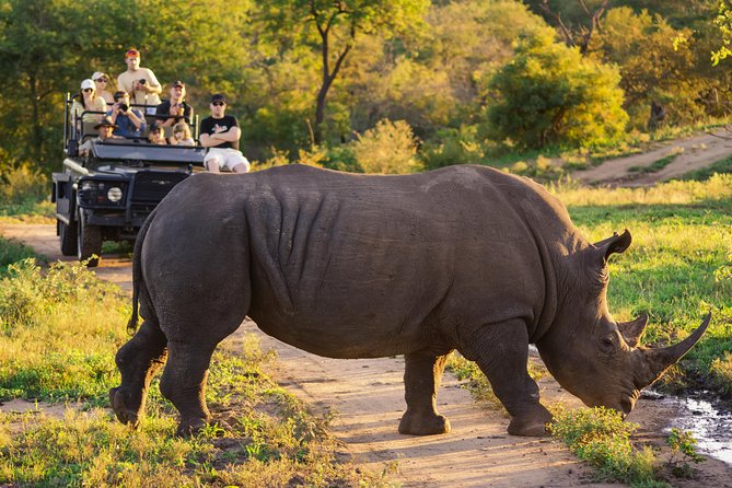 5 day-Kruger National Park Safari from Kruger Int. Airport (KMI), Panorama Route - Day 3: Waterfalls, canyon views, and Graskop pancakes