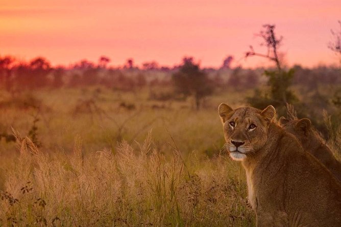 5 day-Kruger National Park Safari from Kruger Int. Airport (KMI), Panorama Route - Practical preparation for Kruger and the Panorama Route