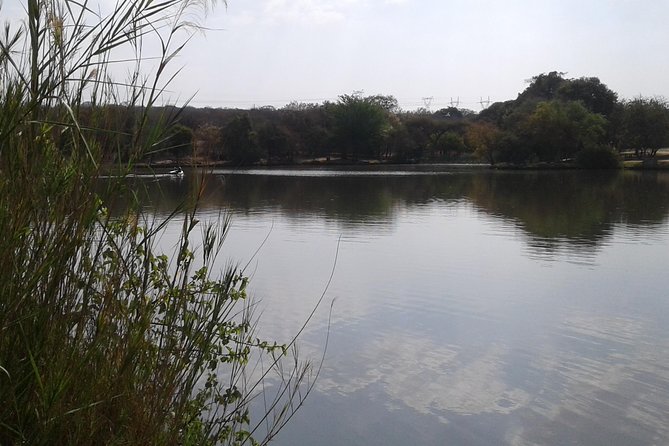 5 Day Kruger National Park tour - Day 5: A close look at smaller signs of life