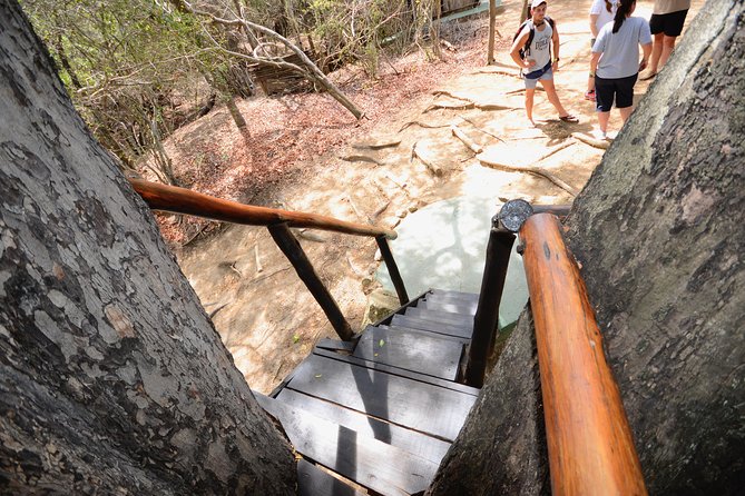 5 Day Lodge and Treehouse Kruger National Park Safari - Day five: sunrise walking and the Blyde River Canyon