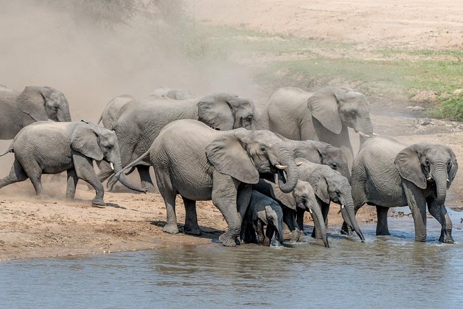 5 Day Wildlife Photographic Safari - Kruger National Park - B1 Photo Safaris - Meals, optional activities, and daily costs
