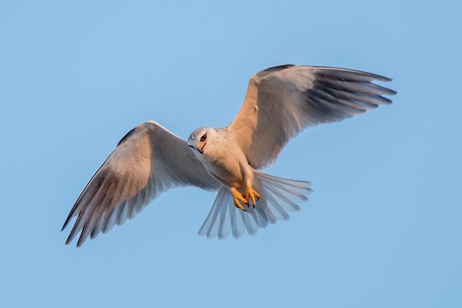 5 Day Wildlife Photographic Safari - Kruger National Park - B1 Photo Safaris - What the $2,819.95 price really buys