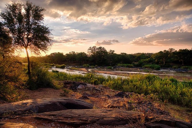 6 Day Budget Kruger National Park Safari - The last morning and the Three Rondawels