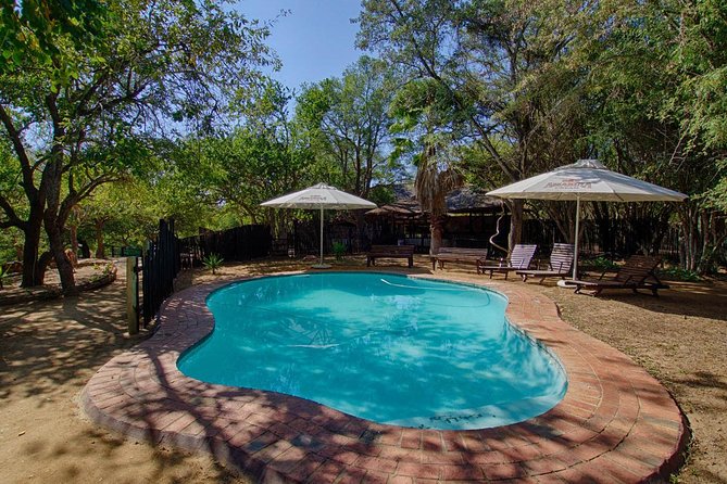 6 Day Budget Kruger National Park Safari - Group size, transport, and daily pace