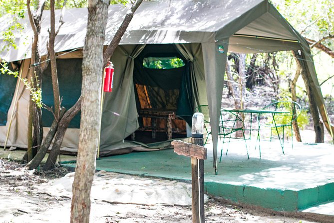 6 Day Budget Kruger National Park Safari - A four-hour walk beside the Olifants River