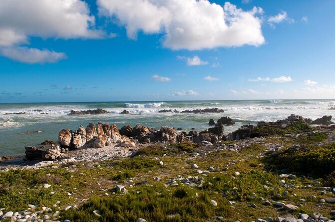 6-Day Garden Route & Addo South African Adventure from Cape Town - Key points at a glance