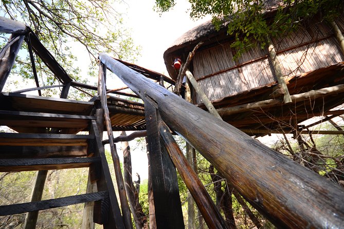 6 Day Lodge and Treehouse Kruger National Park Safari - Why this safari works for first-time visitors