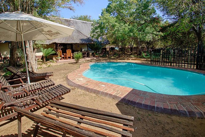 6 Day Lodge and Treehouse Kruger National Park Safari - Day 3: A full day in Kruger National Park