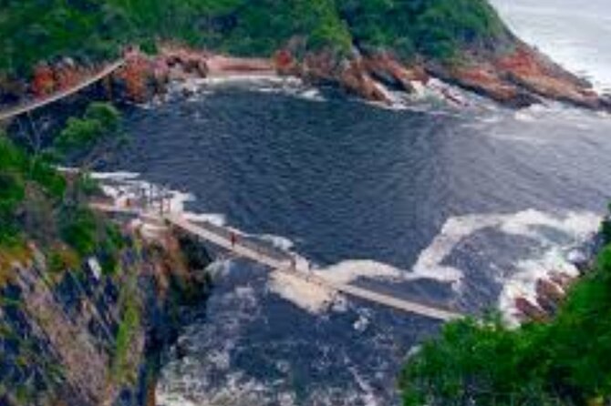 7- 10 Days Tour Package Cape Town and Garden Route - Day 3: Lion park, wine, chocolate, and Franschhoek