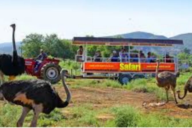 7- 10 Days Tour Package Cape Town and Garden Route - Day 4: The long road to Wilderness