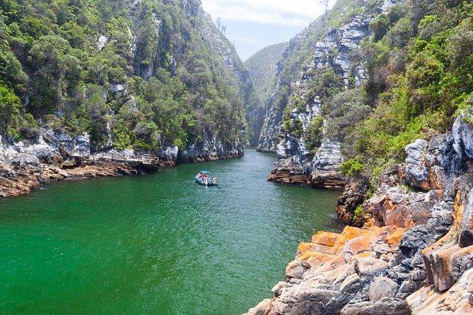 7-day Cape Town, Winelands, Garden Route and Addo National Park - Key points to know before booking