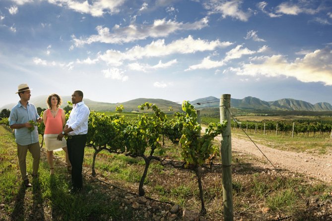 7-day Cape Town, Winelands, Garden Route and Addo National Park - Storms River and the Dias Museum close the loop