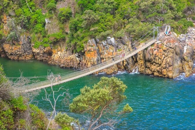 7-Day Garden Route Safari Adventure from Cape Town - Day 5: Knysna Heads, Tenikwa, and Birds of Eden