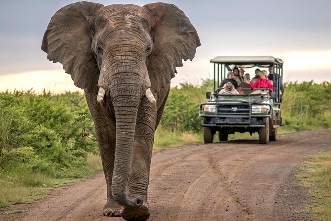 7 Day Garden Route to Addo, Cape Point and Winelands Combo tour - Three estates and up to 15 wine tastings