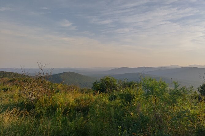 A Full Day Safari Tour to the Hluhluwe Imfolozi Big 5 Game Reserve - Key points before you book