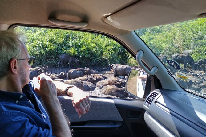 A Full Day Safari Tour to the Hluhluwe Imfolozi Big 5 Game Reserve - Photography and wildlife expectations