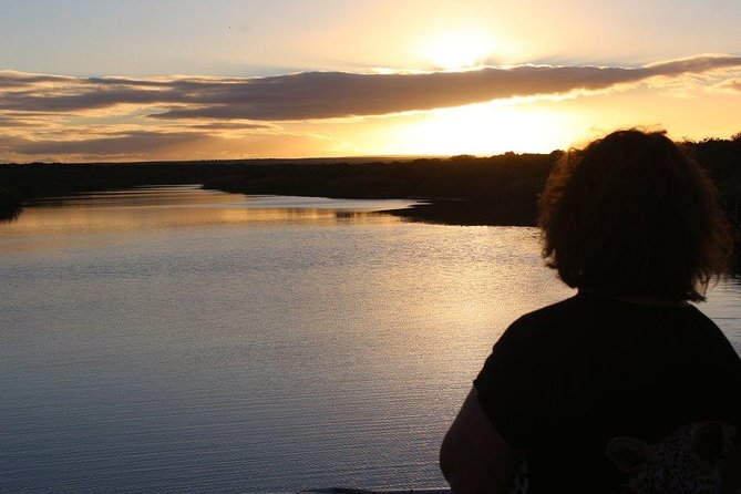 Addo Elephant National Park and Sunset River Cruise - FD04 - What the Addo game drive is really like