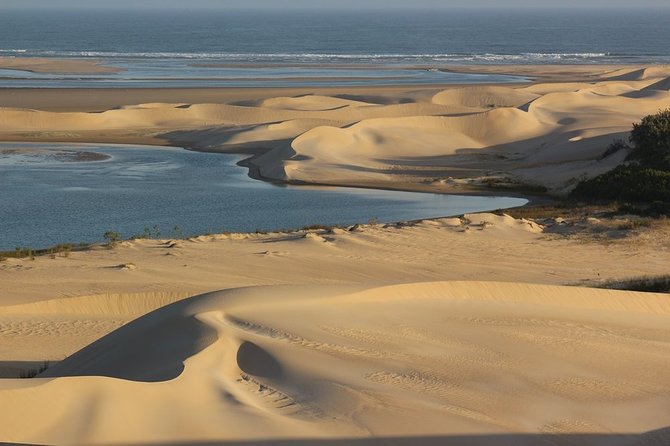 Addo Elephant National Park and Sunset River Cruise - FD04 - Should you book the Addo and sunset cruise?