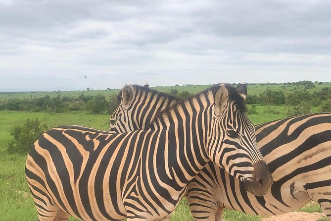 Addo Elephant National Park Day Tour from Port Elizabeth - Three more hours in the northern section