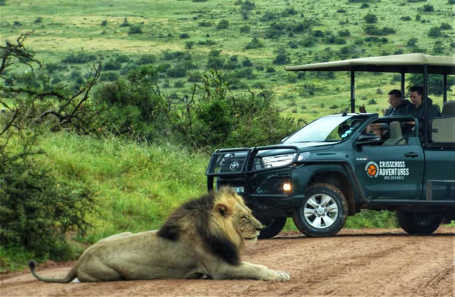 Addo Elephant National Park: Full-Day Safari Tour with Lunch - Key points to know before you book
