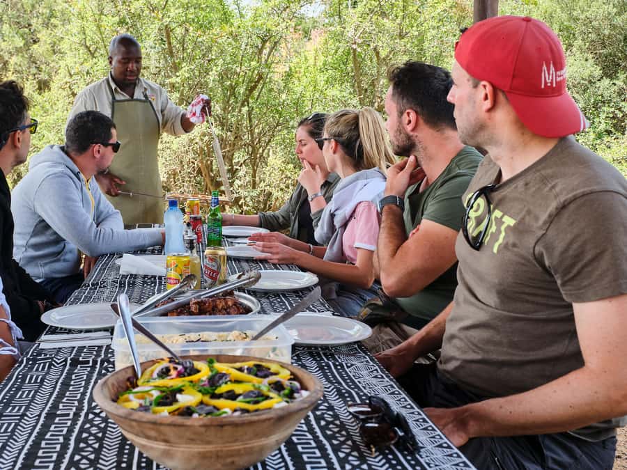 Addo Elephant National Park: Full-Day Safari Tour with Lunch - Practical details that affect the day