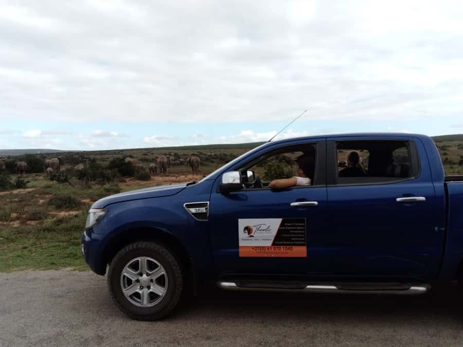 Addo Elephant National Park Game Drive Day Tour With Lunch - Why Addo is an excellent place for a first safari