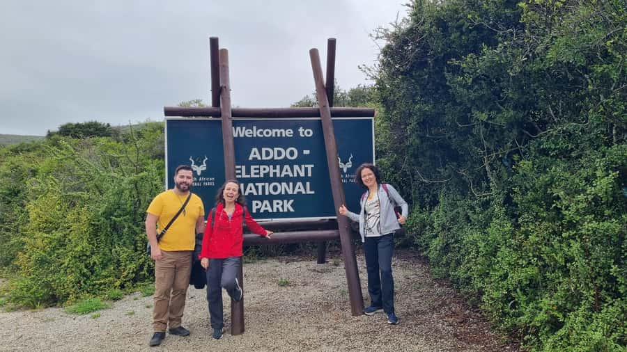 Addo Elephant National Park Private Full-Day Safari - Southern Addo in the morning