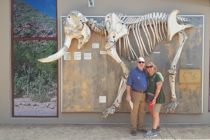 Addo Elephant National Park Tours from Port Elizabeth - Practical details that affect your day
