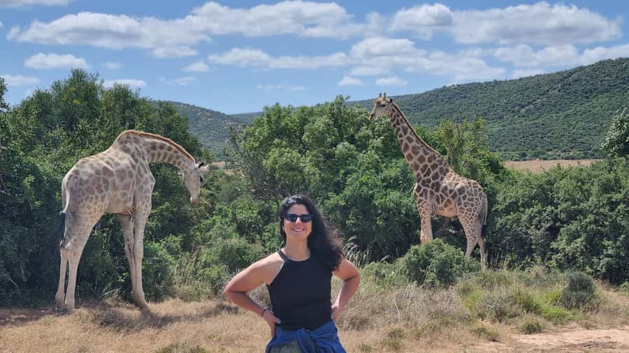 Addo Elephant Park and Giraffe Walk Full Day Safari - Six hours among Addo’s elephants and Big Five animals
