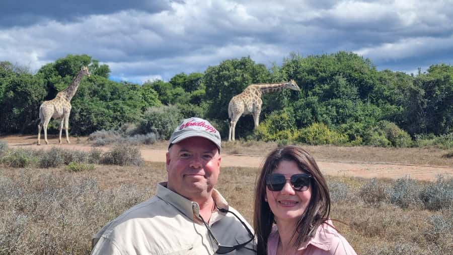 Addo Elephant Park and Giraffe Walk Private Full Day Safari - Key points to know before booking