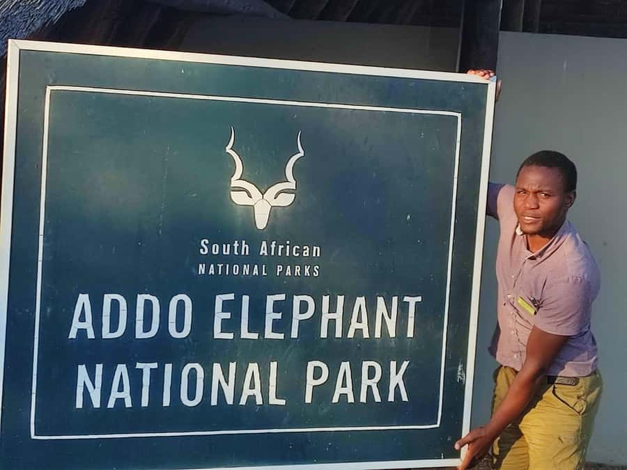 Addo Elephant Park Tours. Full Day - Why Addo works so well for a one-day safari