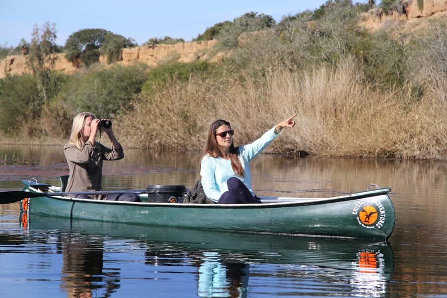 Addo River Safari - Guided Tour via Canoe - What the 150 Minutes Feel Like