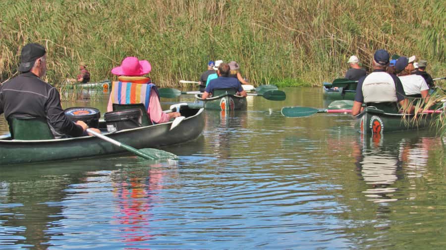 Addo River Safari - Guided Tour via Canoe - Birdwatching on the River