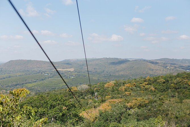Aerial Cable Trail in Hazyview - How it compares with a safari day