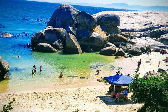 African Penguins (Boulders Beach) Half Day tour from Cape Town - Muizenberg Beach adds a quick coastal pause