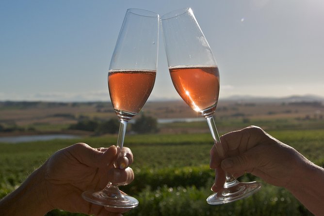 African Story Wine Tours in the Cape Winelands - Is $102.95 good value?