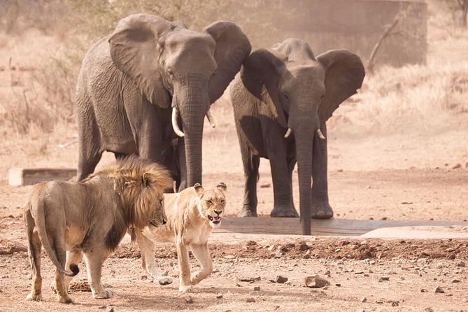 All Inclusive 2 Day Kruger Safari from Johannesburg - Dinner under the African sky