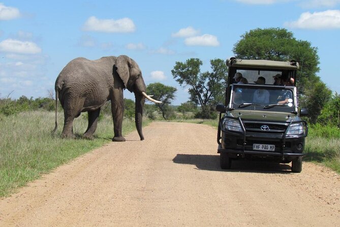 All Inclusive 2 Day Kruger Safari from Johannesburg - How good is the Big Five chance?