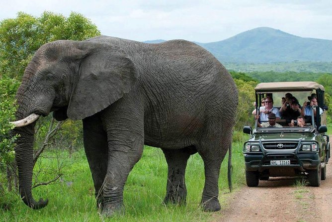 All Inclusive 3 Day Kruger Safari Adventure From Johannesburg - Day three: one last look before the long return