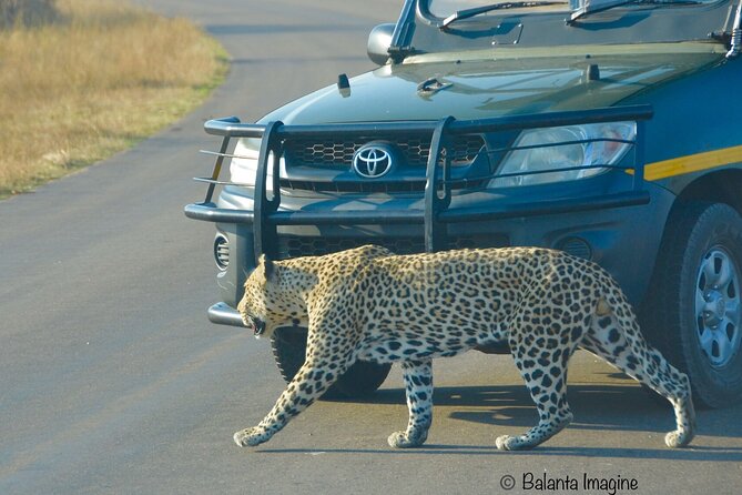 All Inclusive 3 Day Kruger Safari Adventure From Johannesburg - What the accommodation may really be like