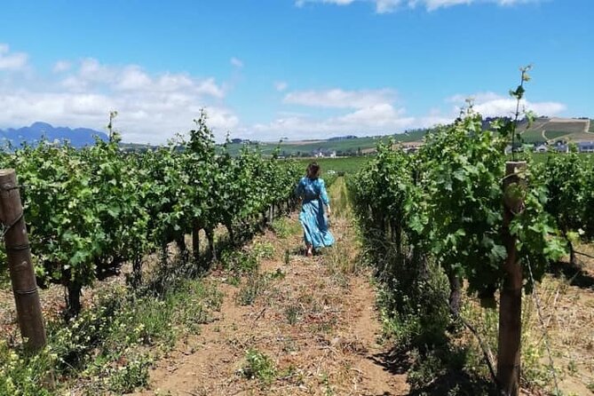 All-inclusive Private Wine Tour in Stellenbosch Cape Winelands - L’Avenir and the case for cheese with wine