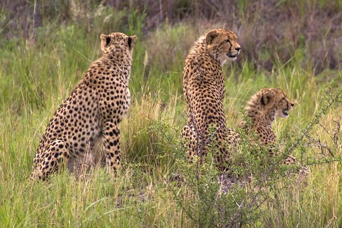 Ann van Dyk Cheetah Centre - Arriving at the Ann van Dyk Cheetah Centre in Brits