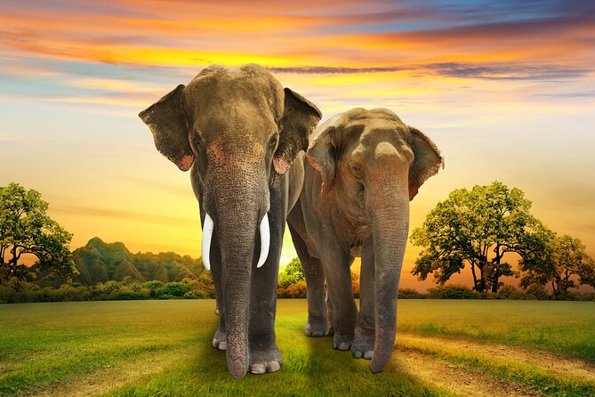 Aquila Game Reserve Safari with Park Fees, Transport & Lunch - The ride back to Cape Town